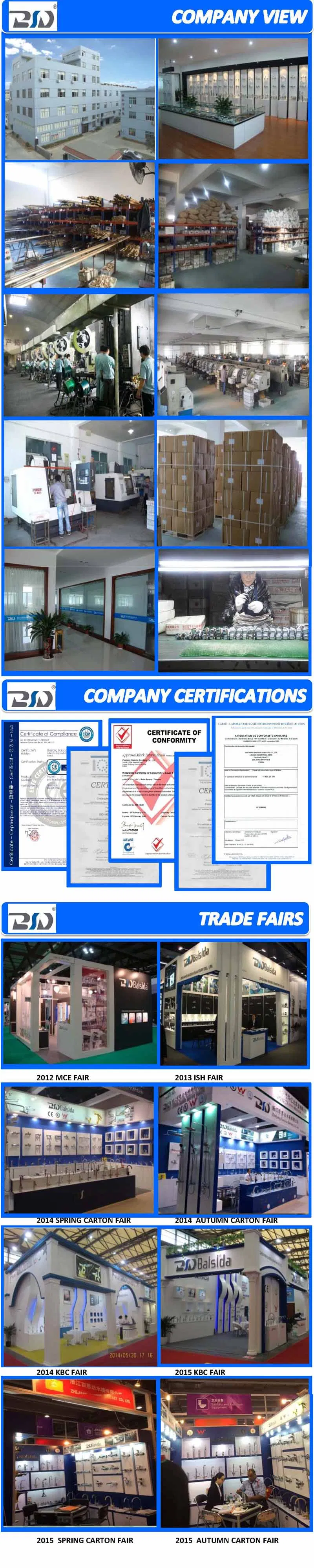 Trade Exhibition Display