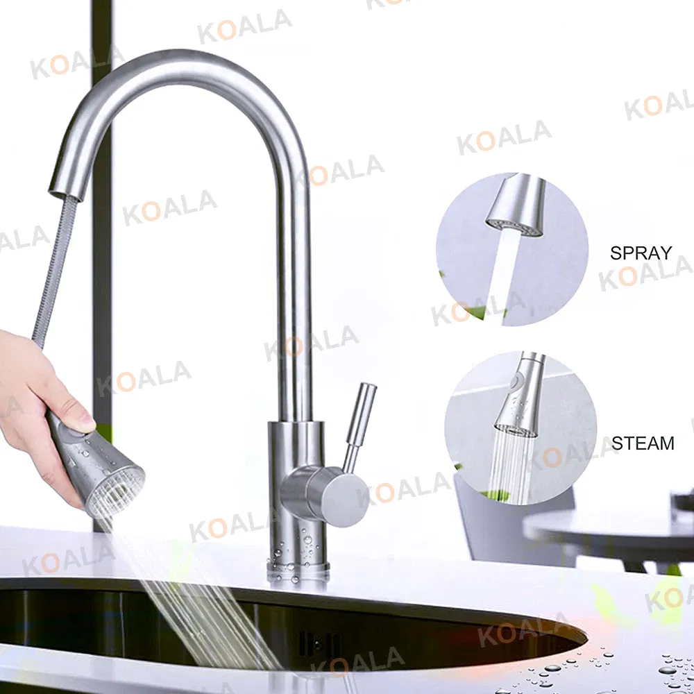 Premium NSF Certified Kitchen Faucet with Extended Spout Design