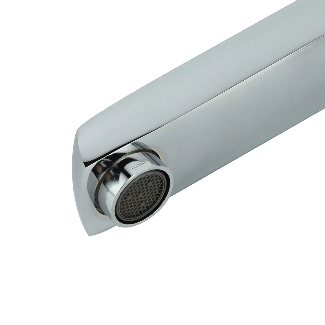 Kitchen Faucet Detail