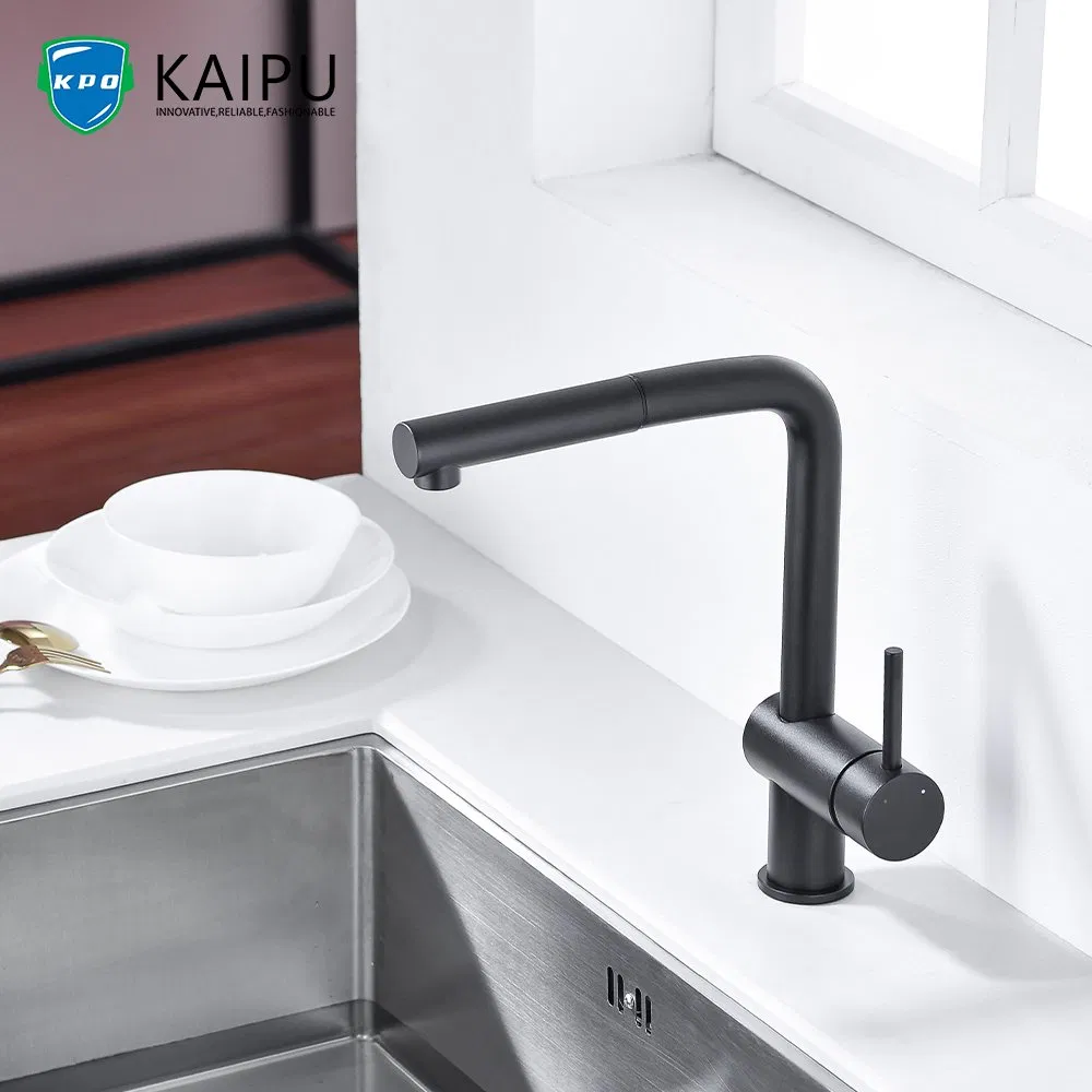 Single Handle Kitchen Faucet with Pull Down Sprayer