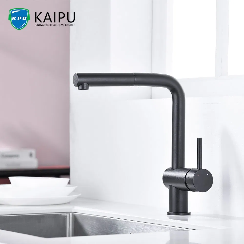 Single Handle Kitchen Faucet with Pull Down Sprayer