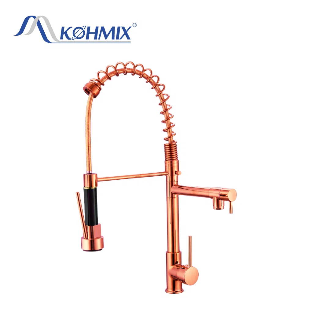 Kitchen Sink Faucet Installation View