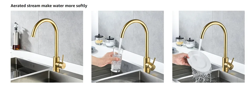 Kitchen Faucet Detail 5