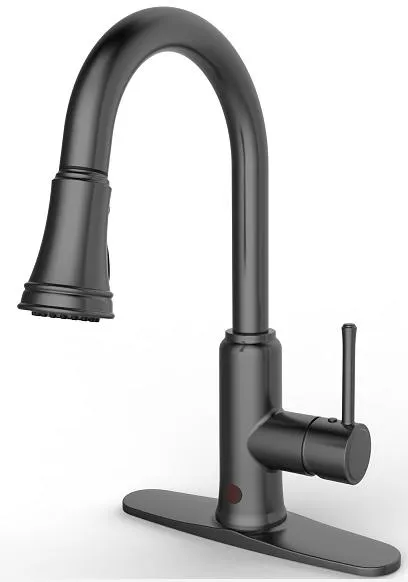 Kitchen Faucet Detail 1