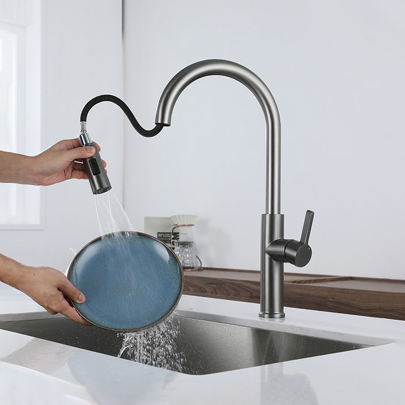 Custom Double Effluent Patterns Faucet Kitchen Hot and Cold Faucet 304 316 Stainless Steel Brushed Mirror Satin for Household/Commercial