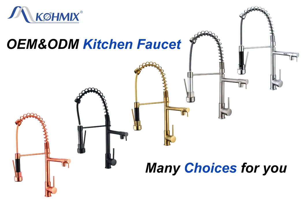 Kitchen Sink Faucet 360 Flexible Pull out Spray
