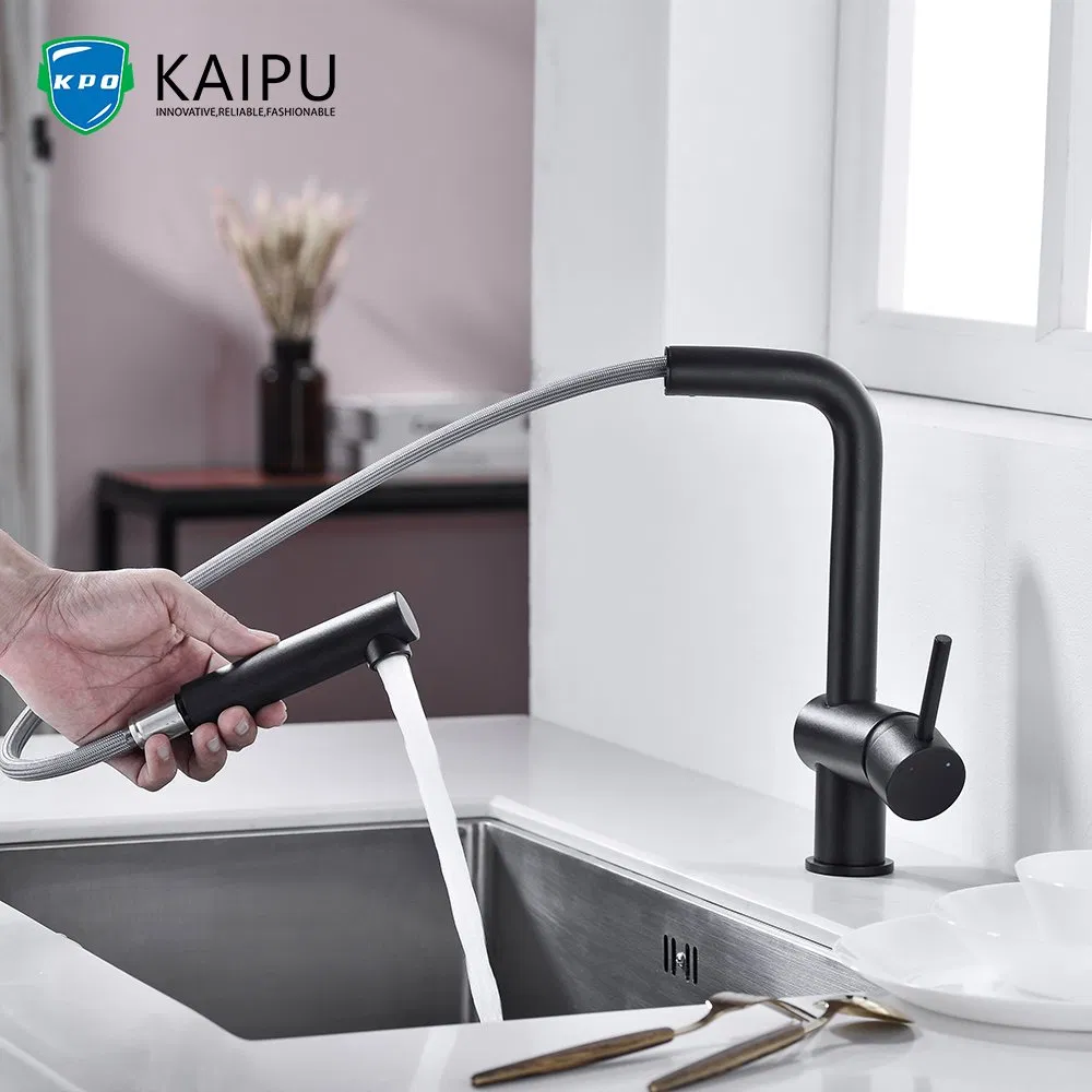 Single Handle Kitchen Faucet with Pull Down Sprayer