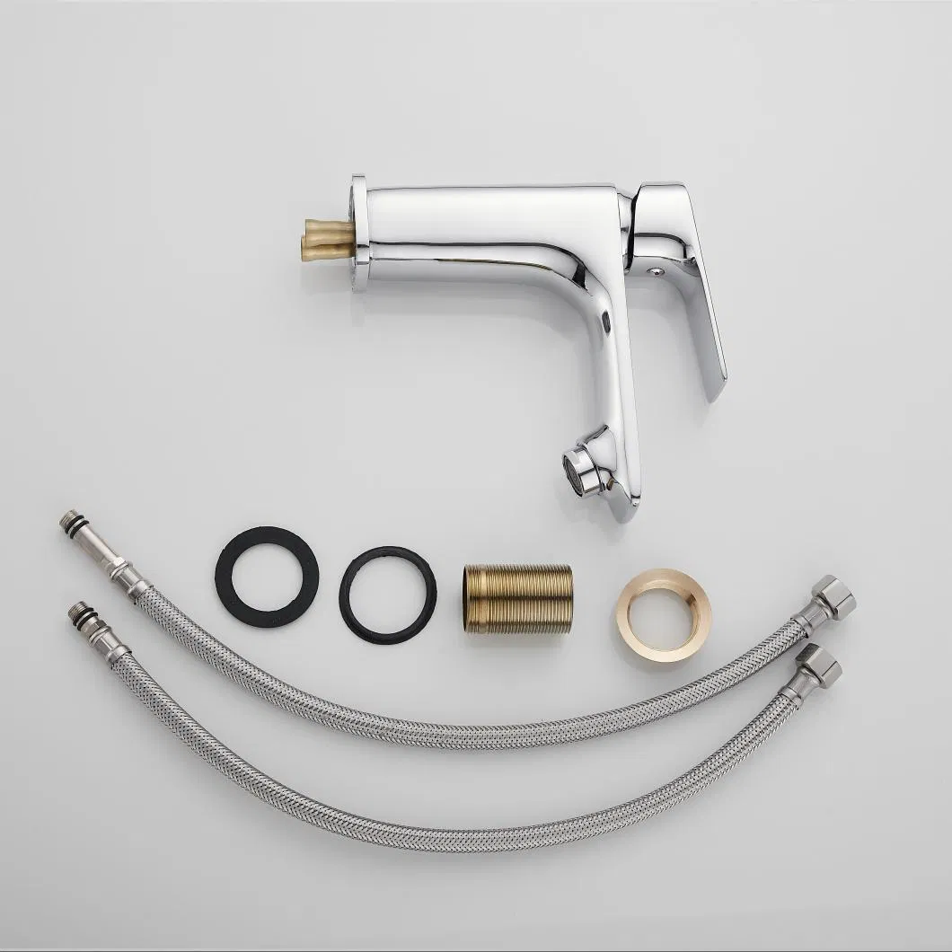 Main Product Display