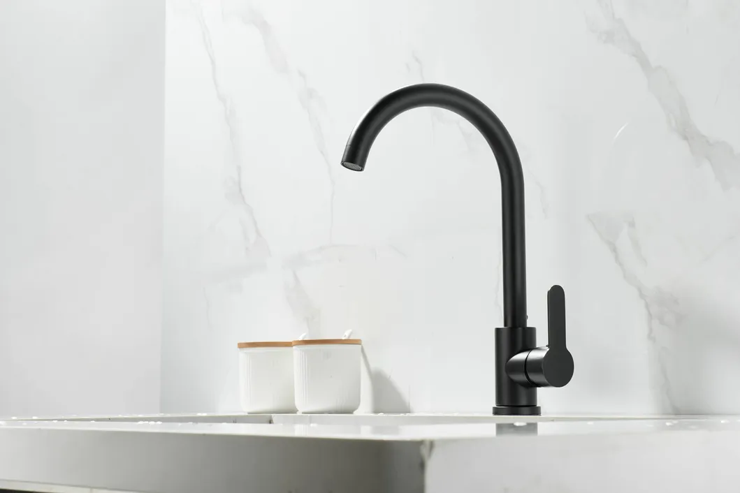 Kitchen Faucet Detail 1