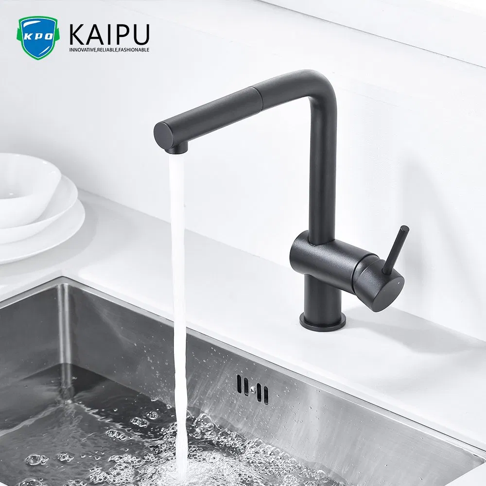 Single Handle Kitchen Faucet with Pull Down Sprayer