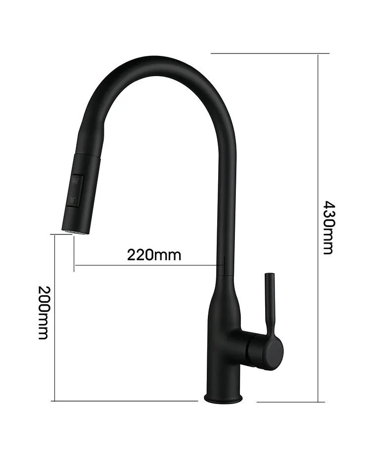 Professional Kitchen Faucet