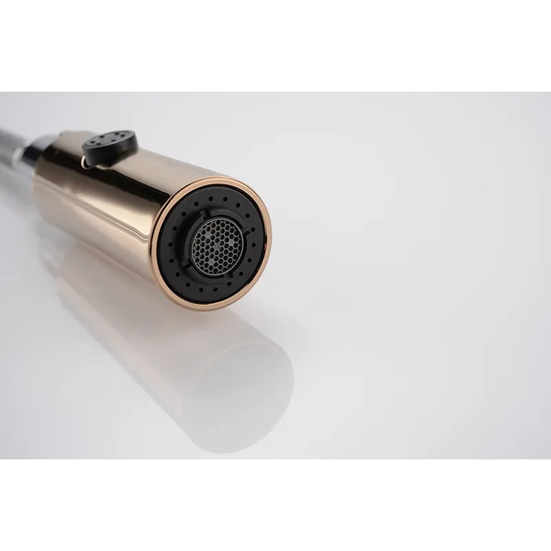 Kitchen Faucet Detail 4