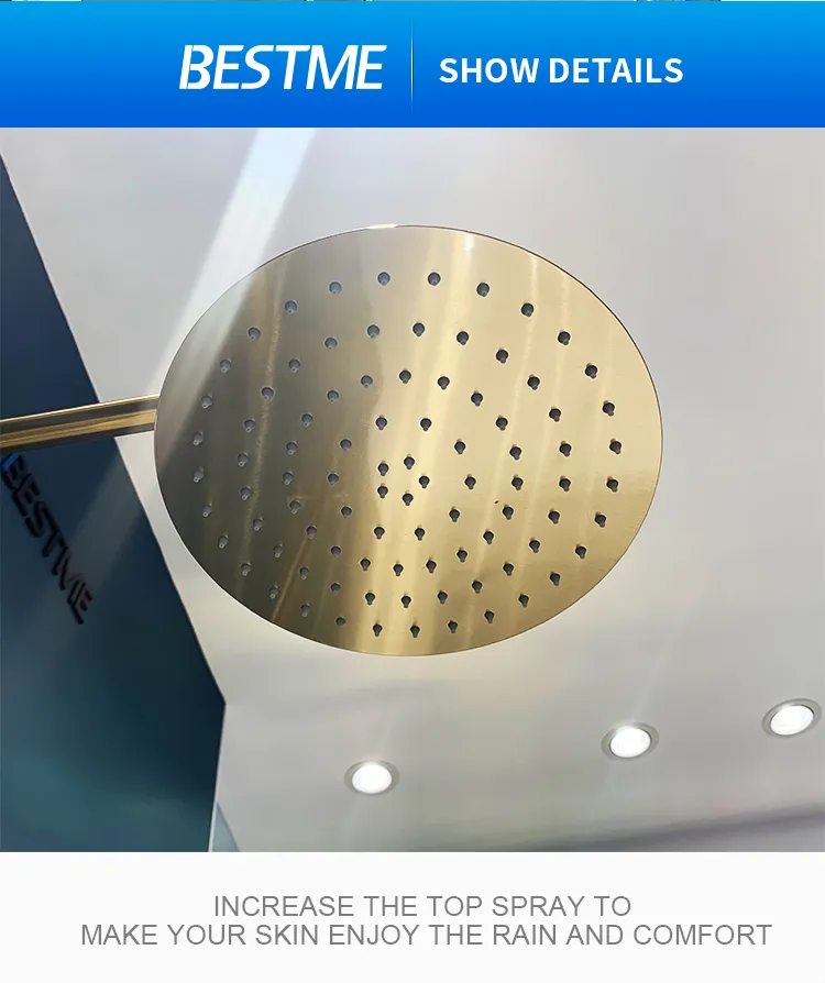 Shower Faucet View 2