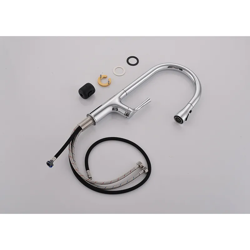 Kitchen Faucet Detail 6