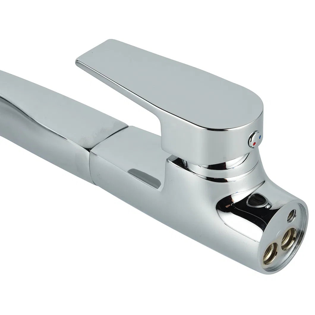 Kitchen Faucet Detail