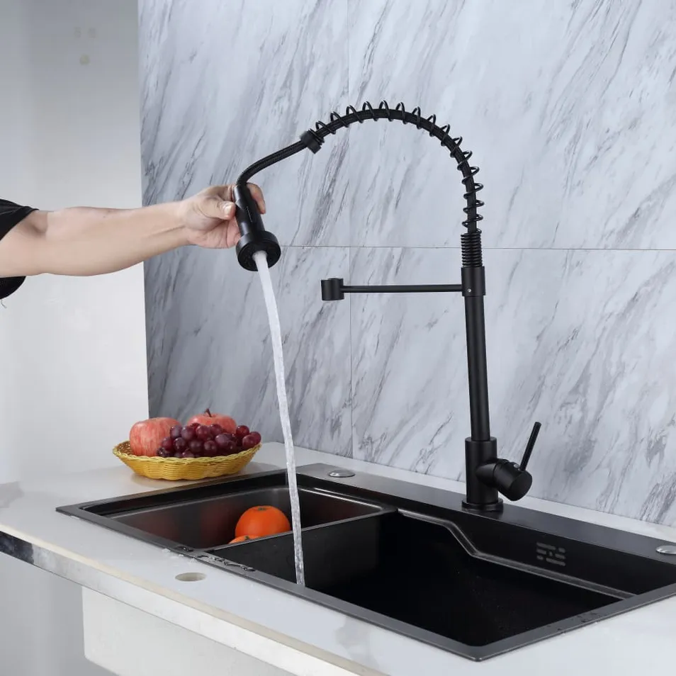 Kitchen Faucet Detail