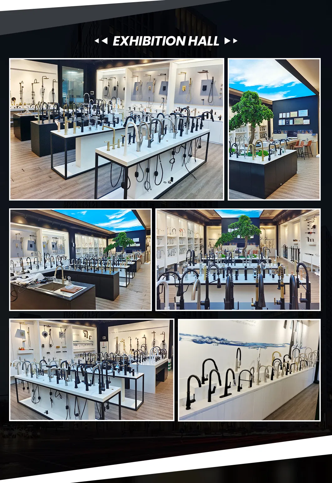 Certification Standards