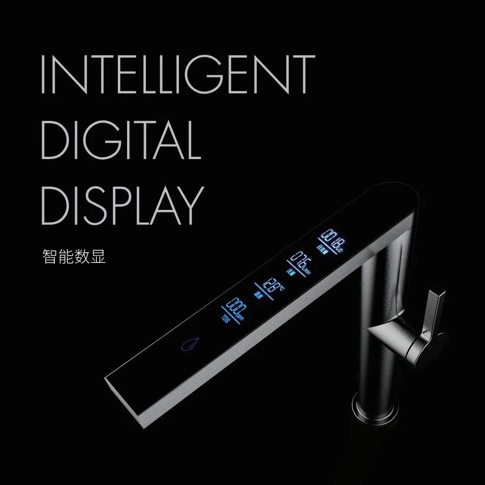 Kitchen Faucet Detail 3