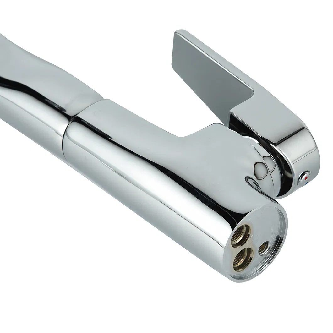 Kitchen Faucet Detail