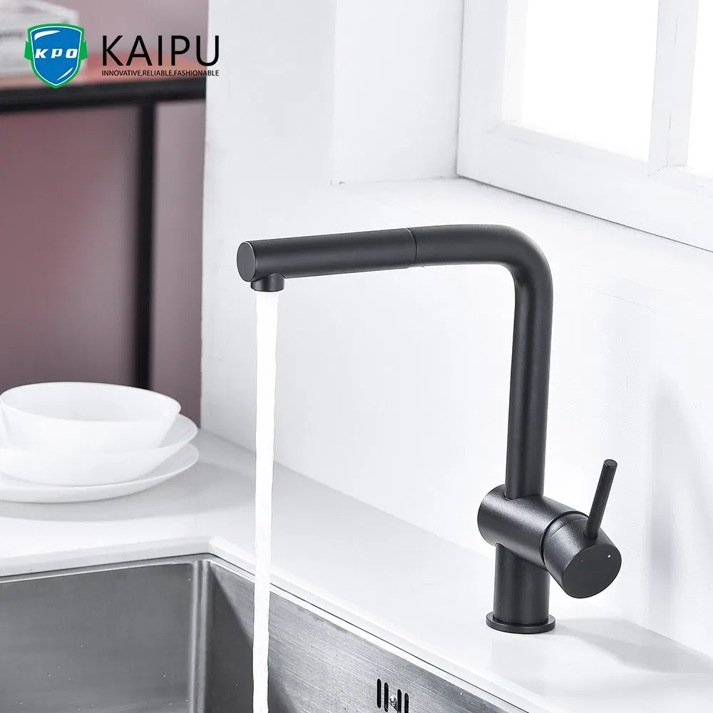 Single Handle Kitchen Faucet with Pull Down Sprayer