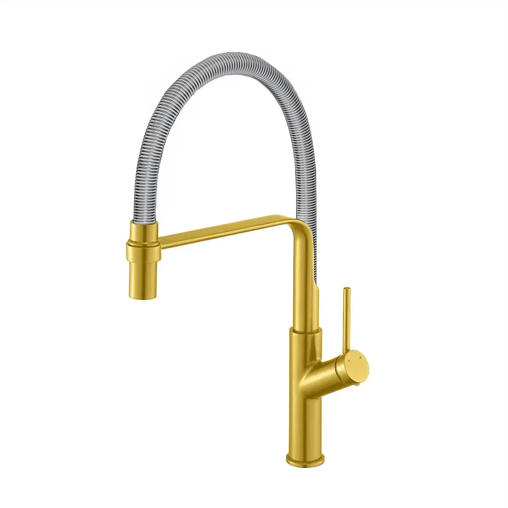 Brass Kitchen Faucet 5