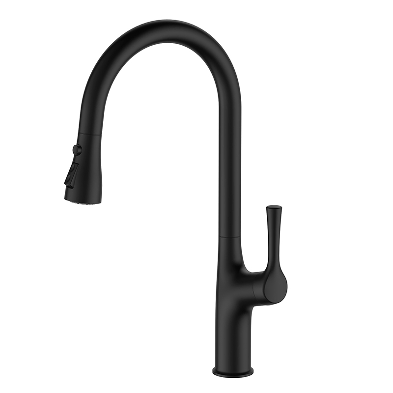 Modern Matte Black Pull Down Kitchen Faucet with Rotatable Spout