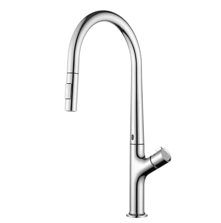 Kitchen Faucet View 3