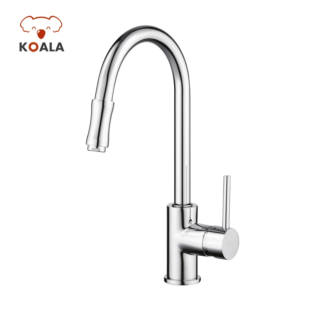 Kitchen Faucet Detail 1