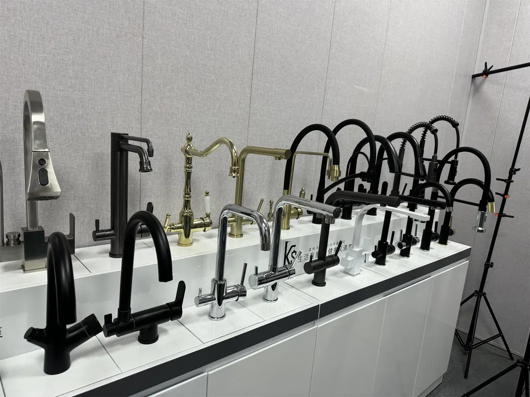 Kitchen Faucet Detail