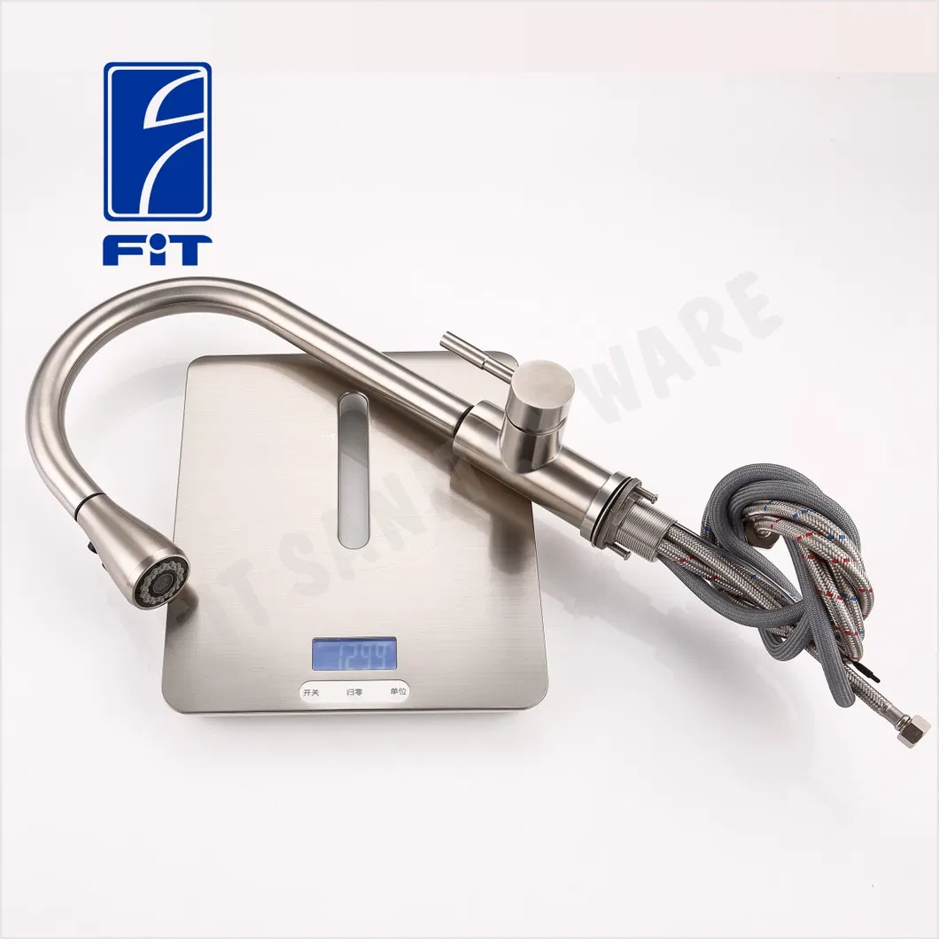 Kitchen Faucet View 3