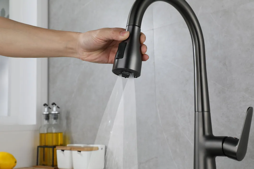 Kitchen Faucet Detail 2