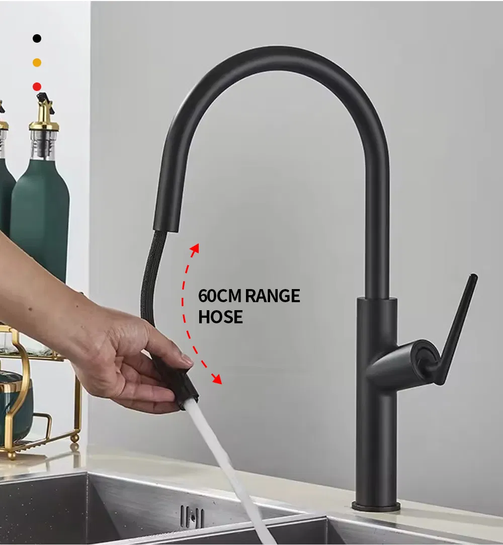 Kitchen Faucet View 3