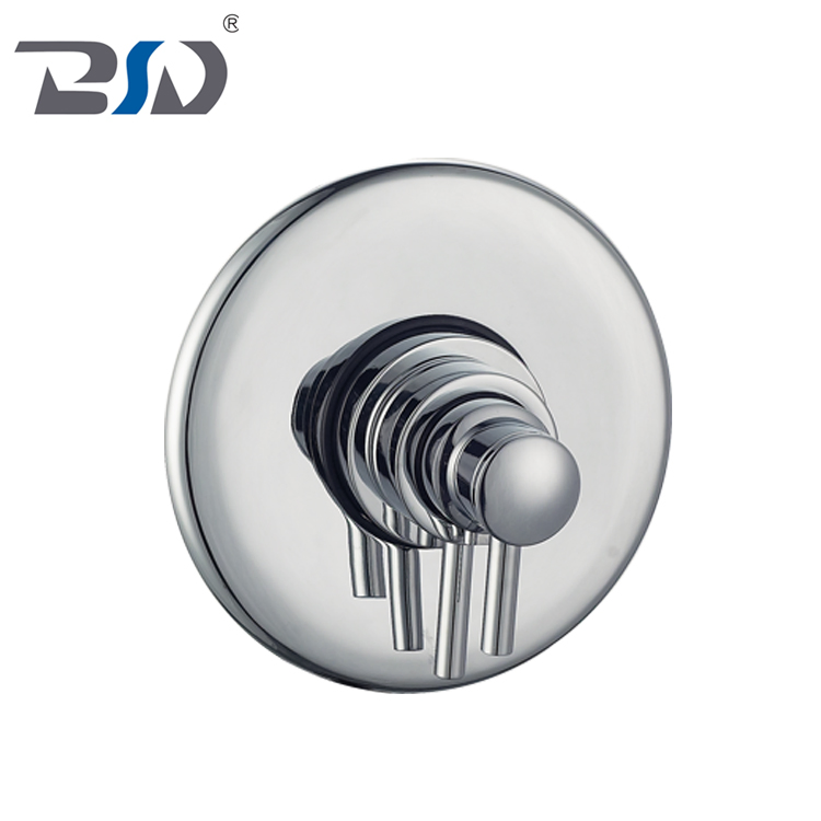 Concentric Dual Handle Brass Concealed Thermostatic Shower Valve