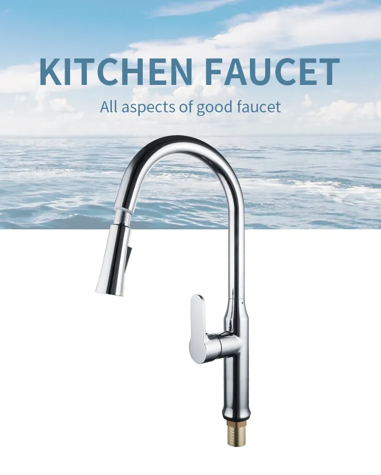 Kitchen Faucet Detail