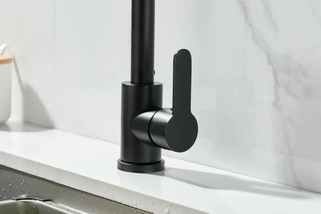 Kitchen Faucet Detail 2