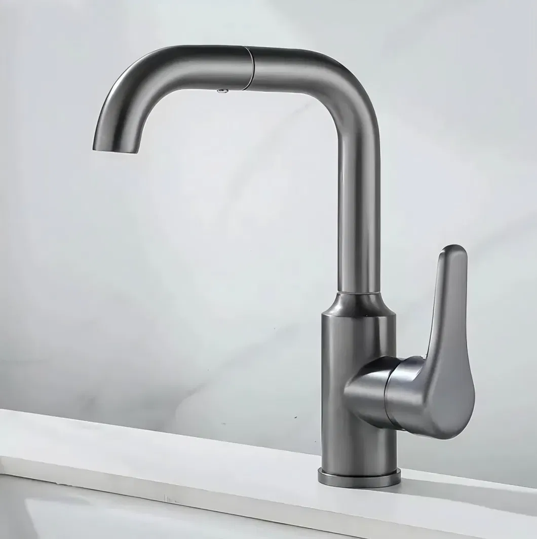 Kitchen Faucet Detail 1