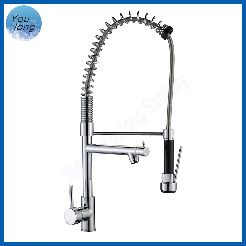 2-Function Kitchen Faucet with Pull-Down Spring Spout and Pot Filler Basin Kitchen Mixer