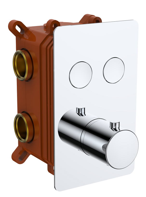 The Popular Style of Brass Polished Thermostatic Shower Valve
