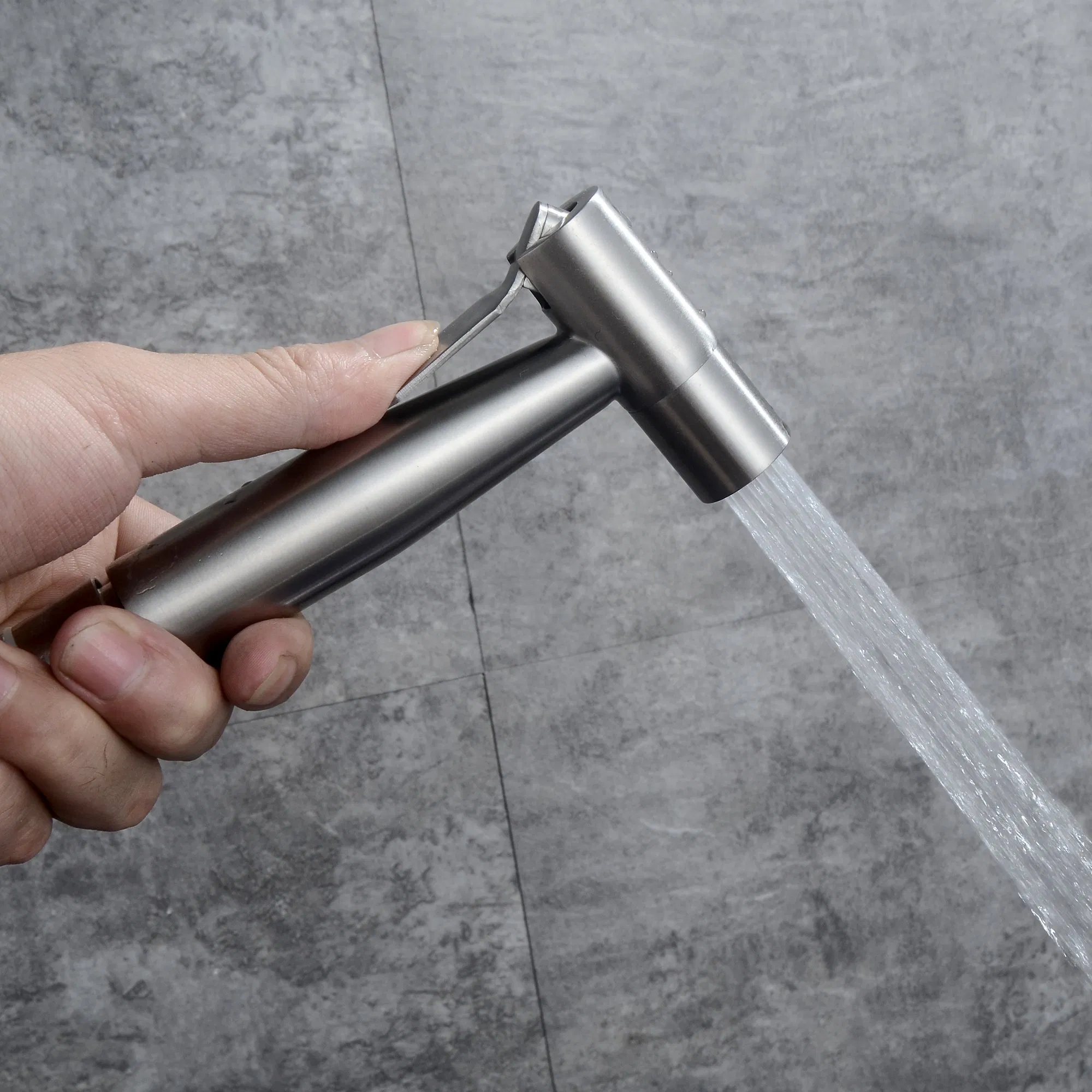 Stainless Steel 304 Spray Set Wall Mount Brushed Nickel Faucet for Toilet