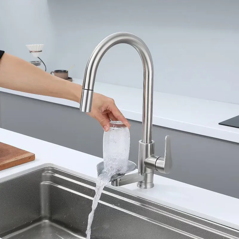 Kitchen Faucet Detail 2