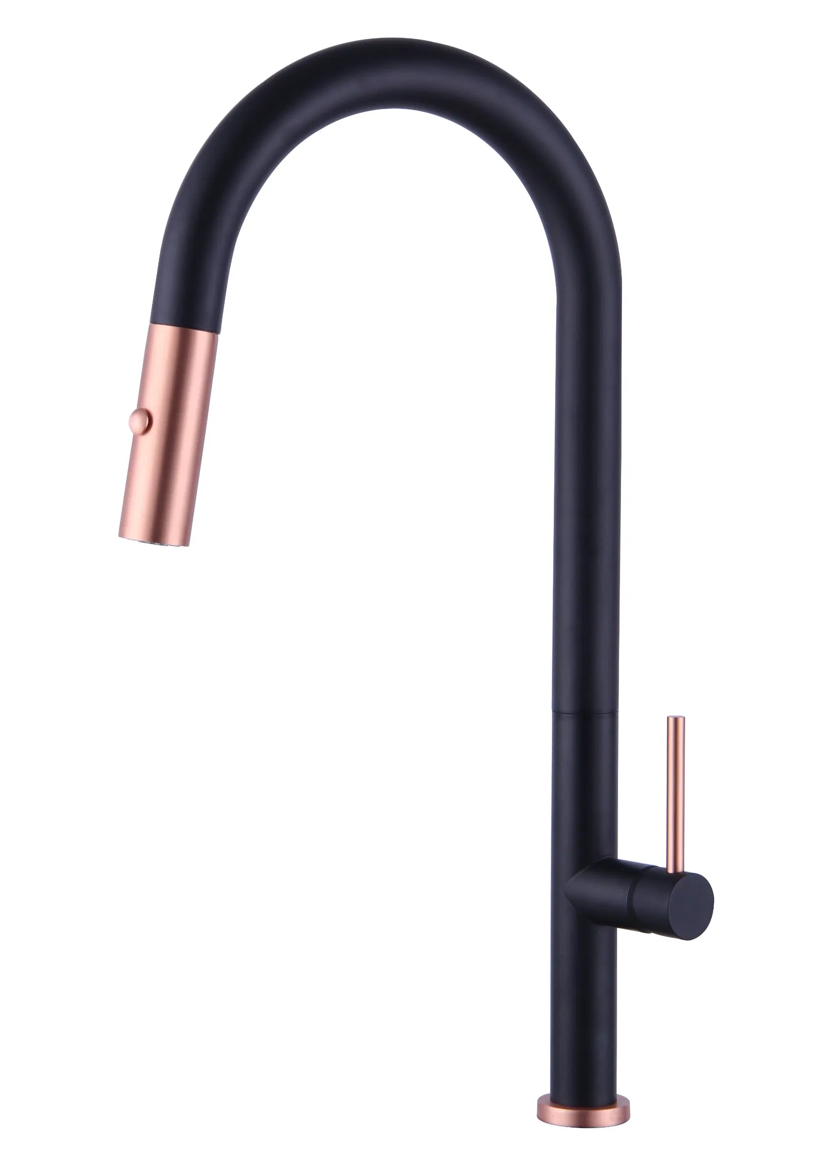 Modern Design Classical Styles Brushed Nickel SUS304 Stainless Steel Kitchen Faucet