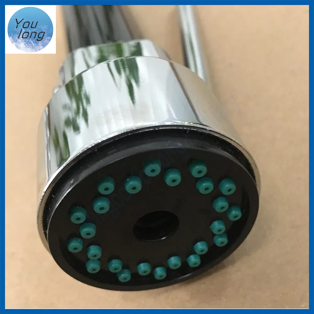 Kitchen Faucet Detail 4