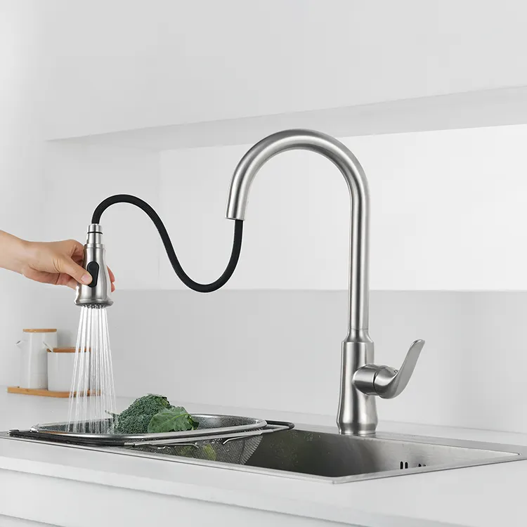 Kitchen Tap Detail 5