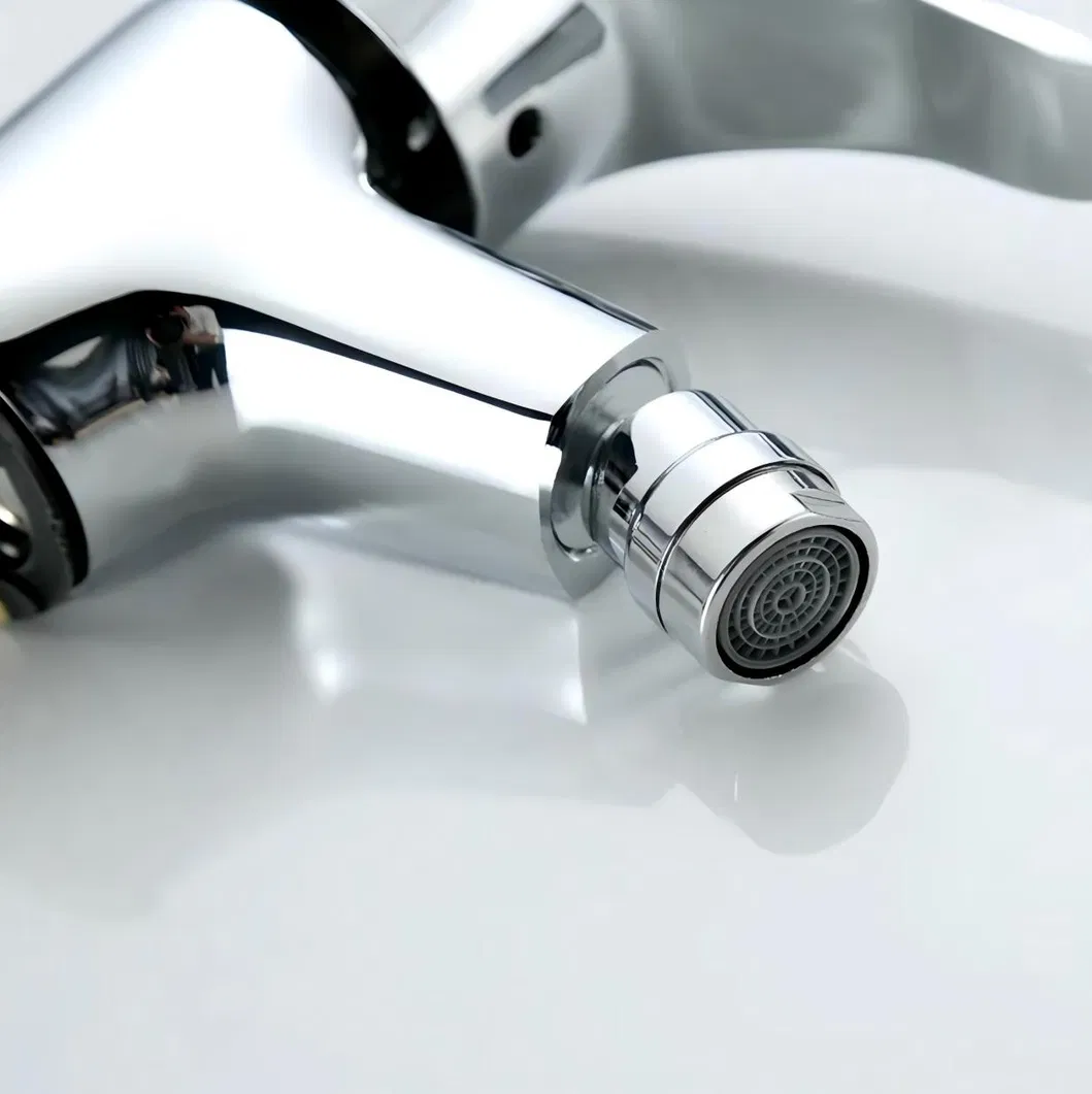 Bidet Faucet Detail 2