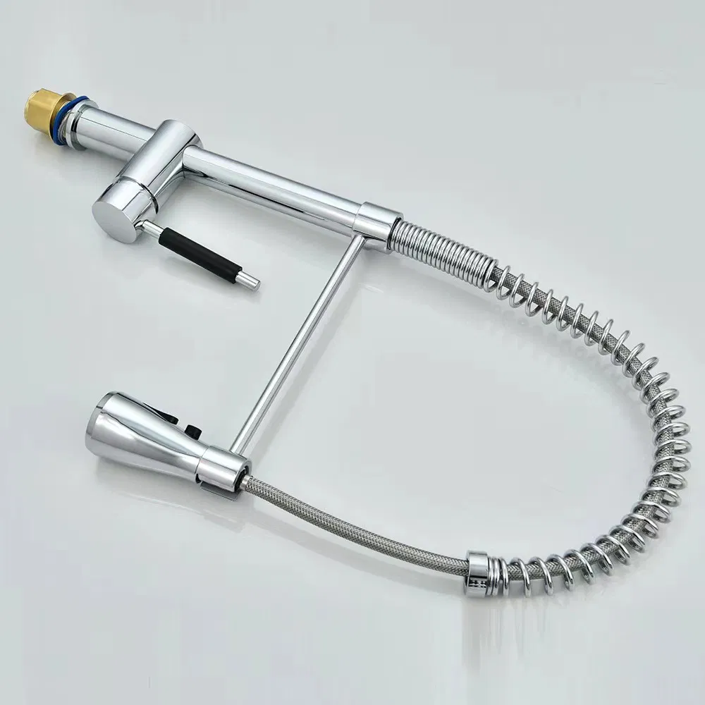 Sink Faucet Kitchen Pull out Hot and Cold Water Dual Bridge Faucet Eco-Friendly Tap Flexible Hose Spring Spray Faucet