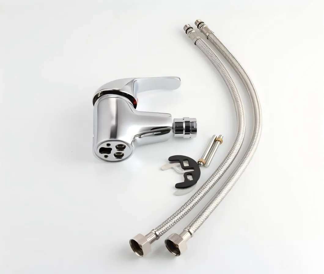 Bidet Faucet Detail 4