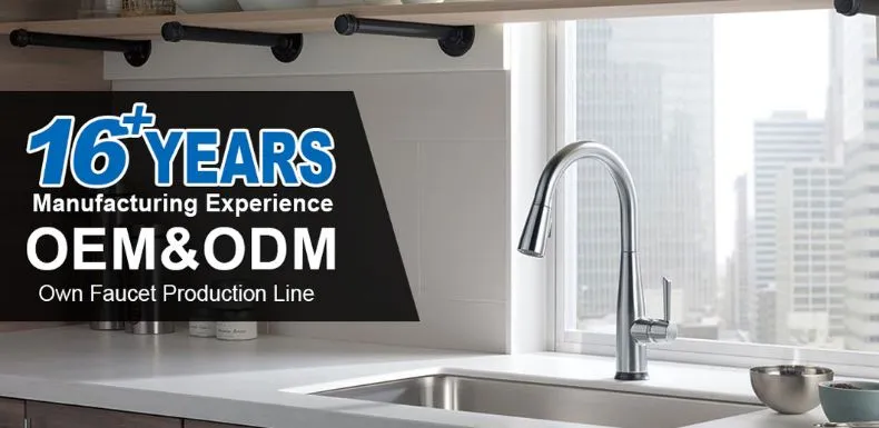 Kitchen Faucet Overview
