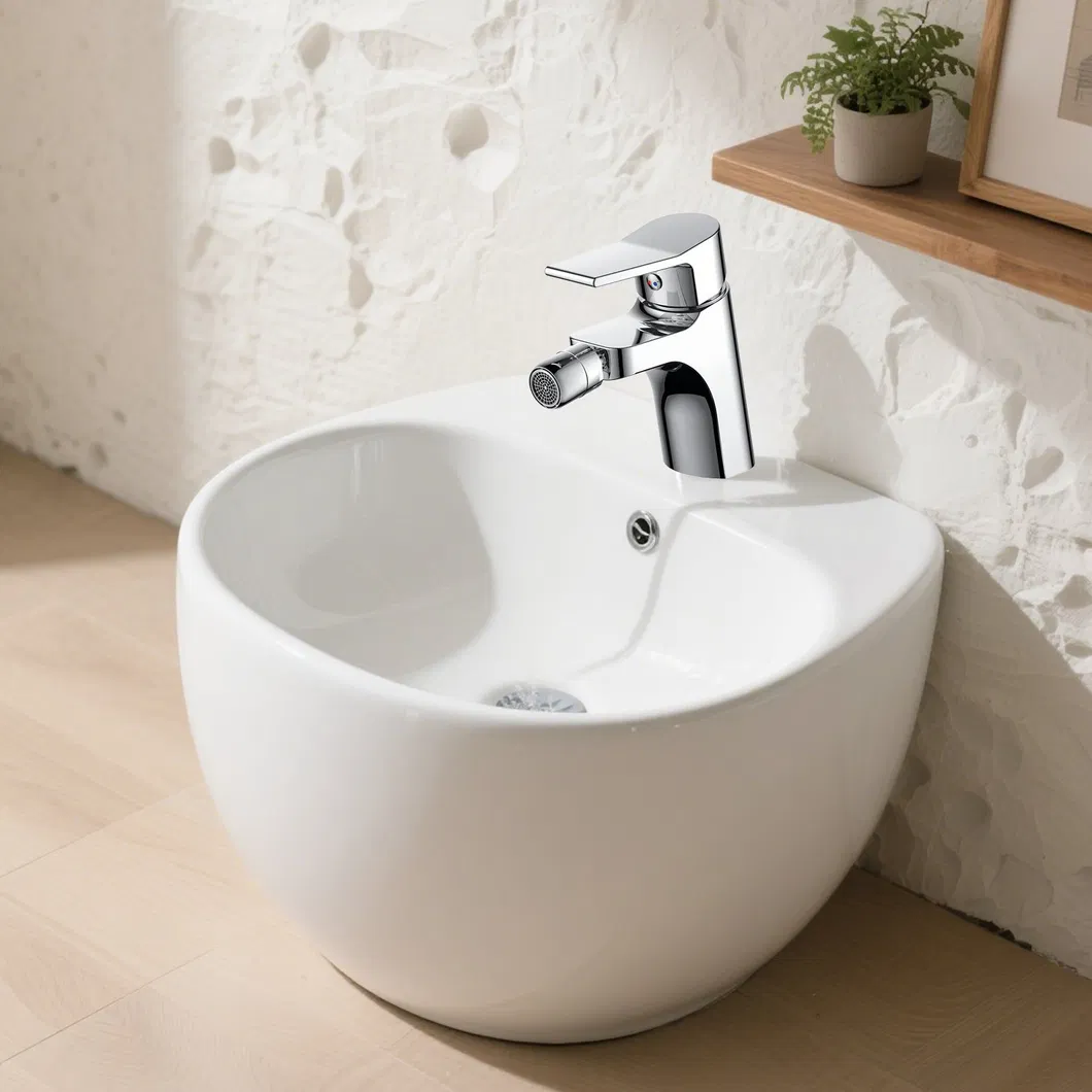 Toilet Bidet Spray Faucet