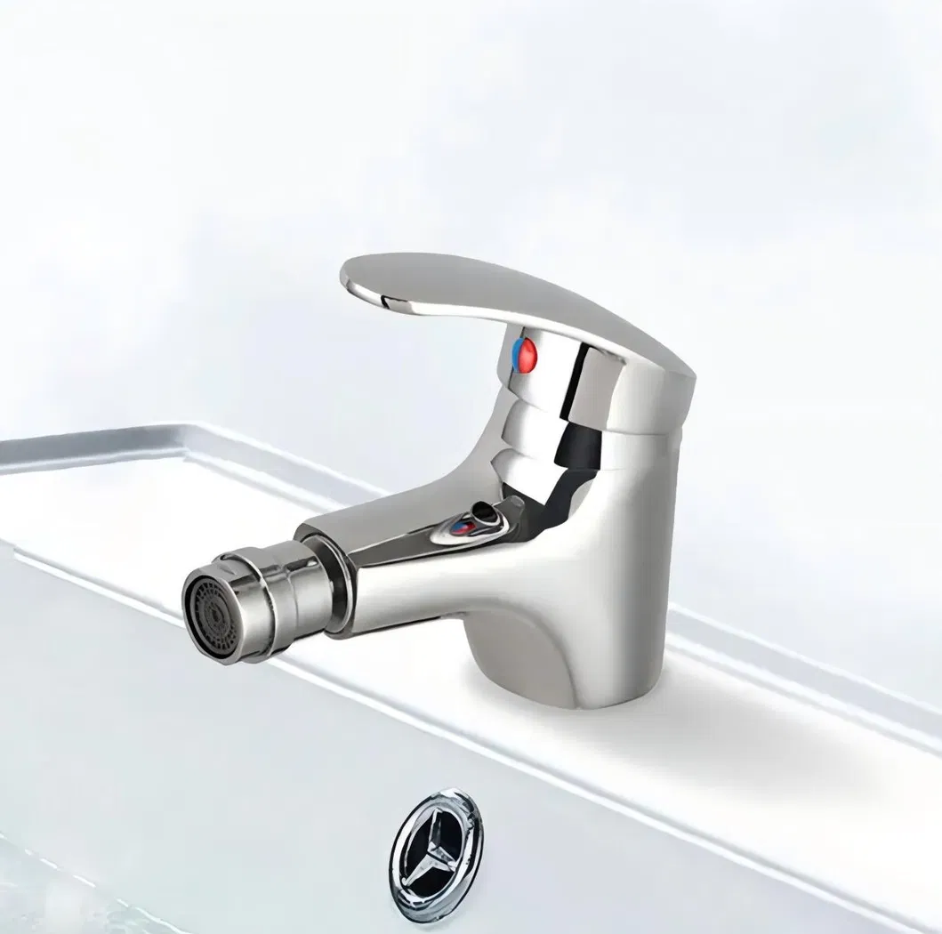 Bidet Faucet Detail 1