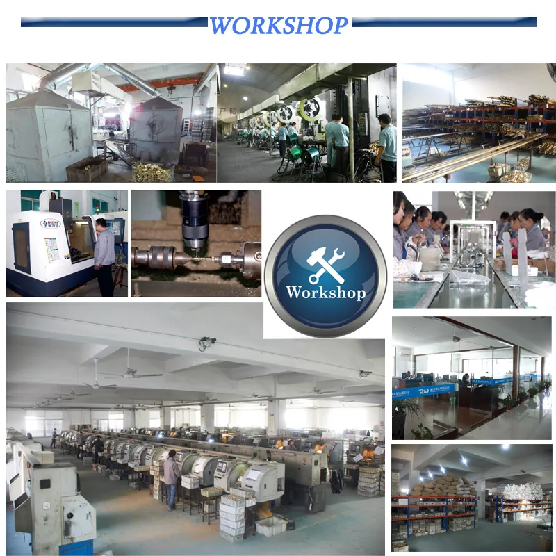 Workshop